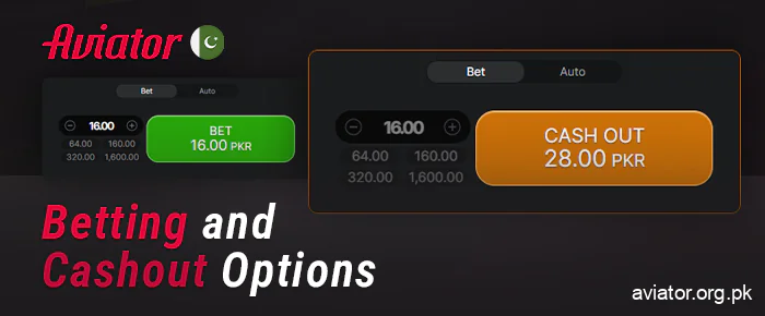 The process of betting and withdrawing winnings in Aviator Online