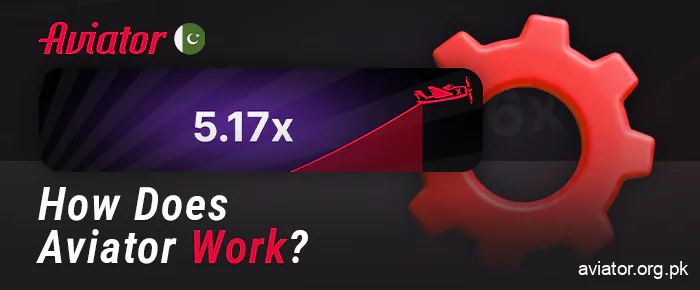 The process of playing Aviator - how the crash game works